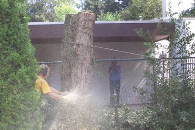 afzagen stam op 100 cm voor kachel hout in maasbool maasdriel kerkdriel best den haag rotterdam utrecht amersfoort